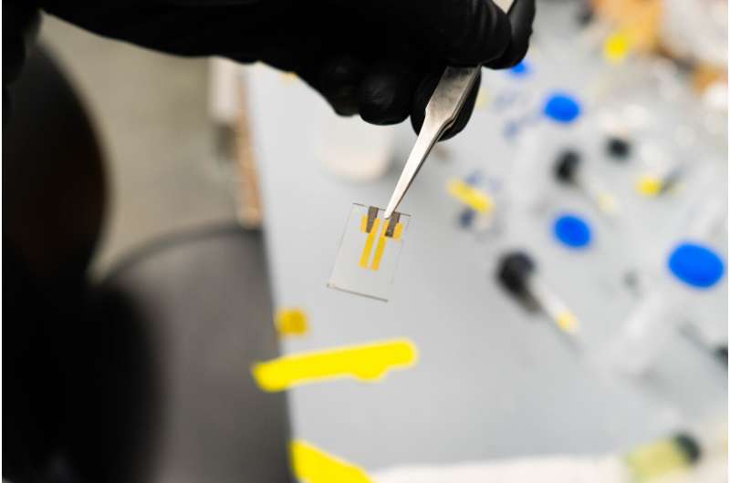 new-method-developed-t.jpg