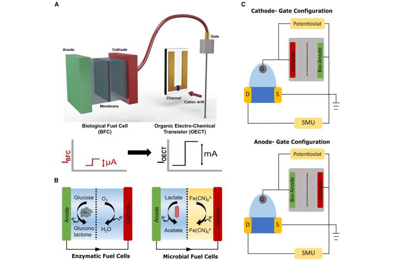 new-method-developed-t-1.jpg