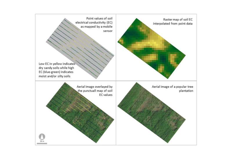 efficient-soil-analysi.jpg